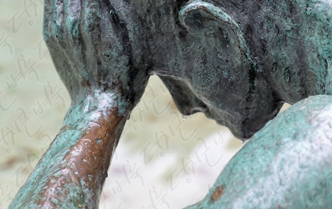 사타구니 멍울8