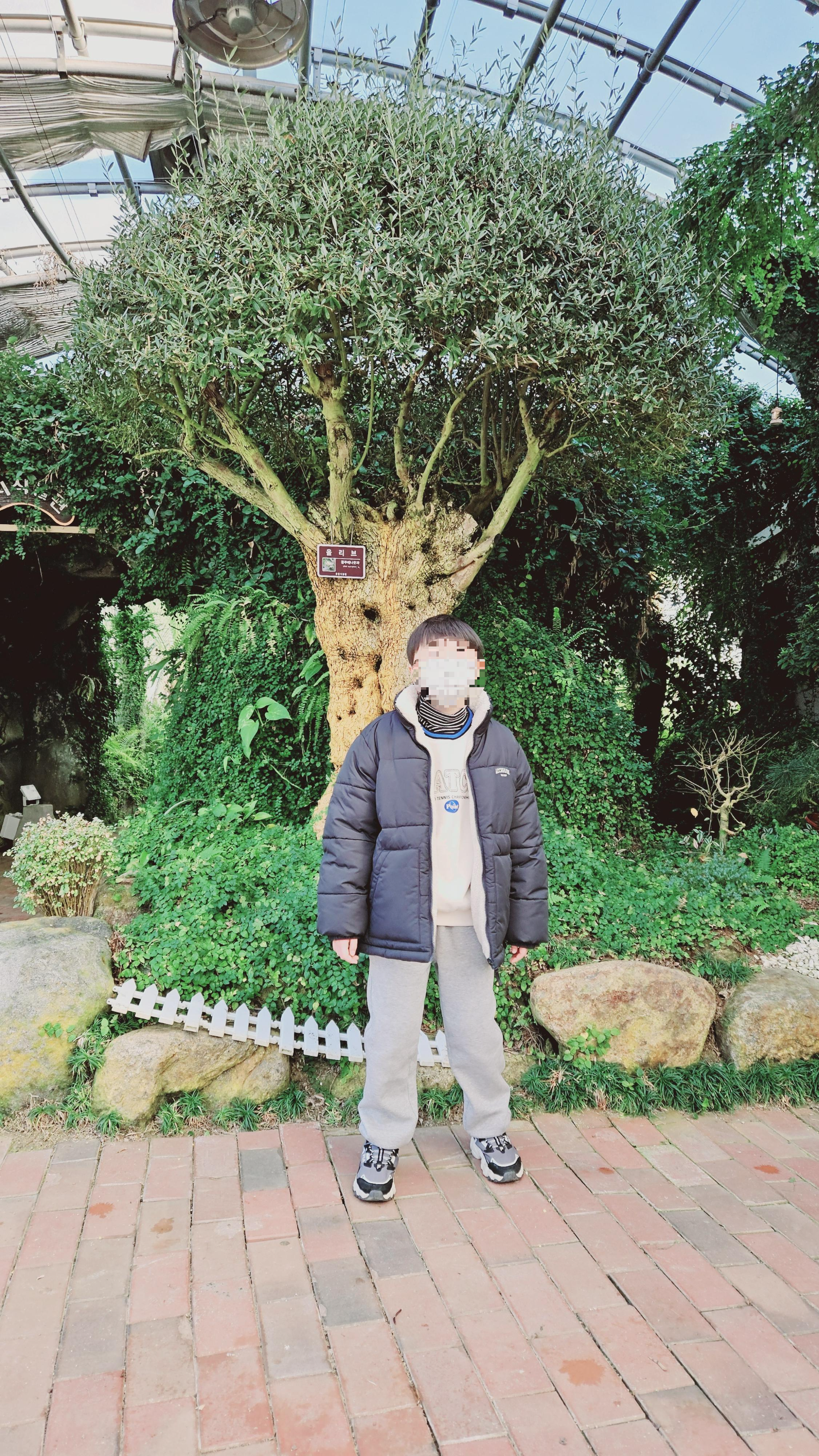 고성당항포랜드