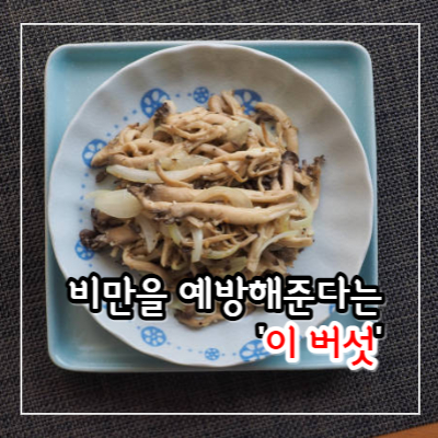 느타리버섯 효능과 부작용&#44; 느타리버섯 볶음 레시피