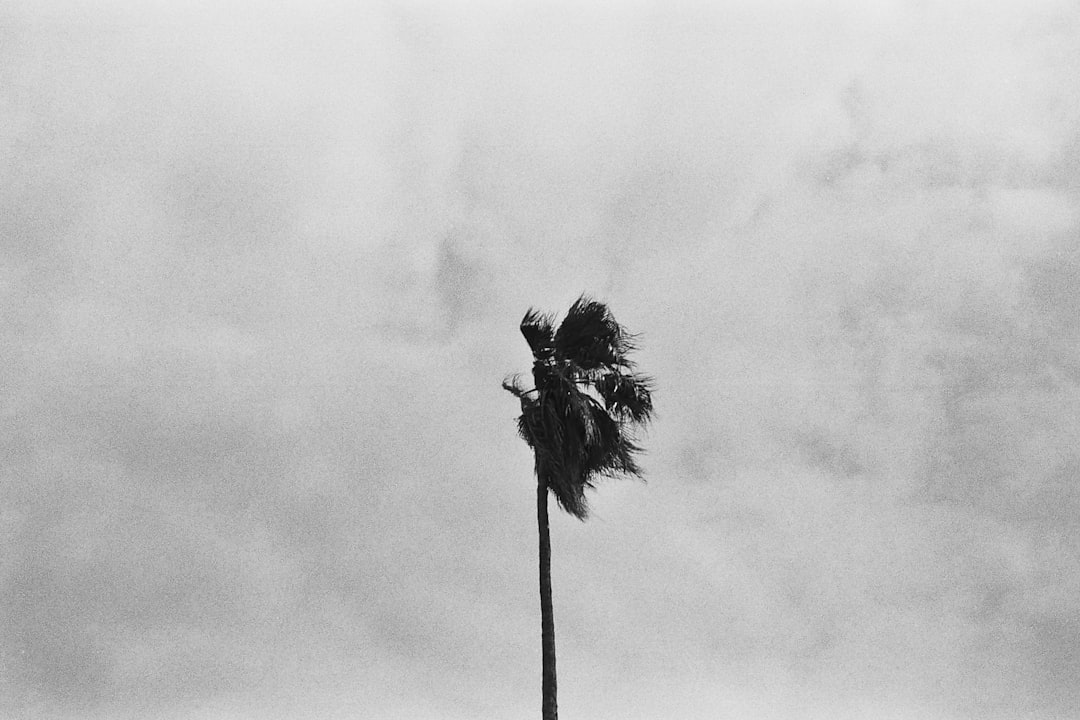 Wind.