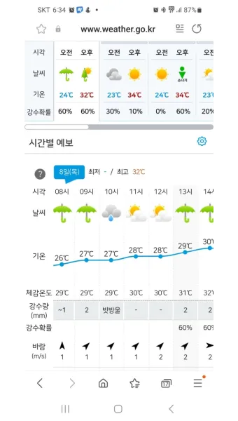 시간별 예보 체감온도 산책 코스 외출 준비물 점검_30