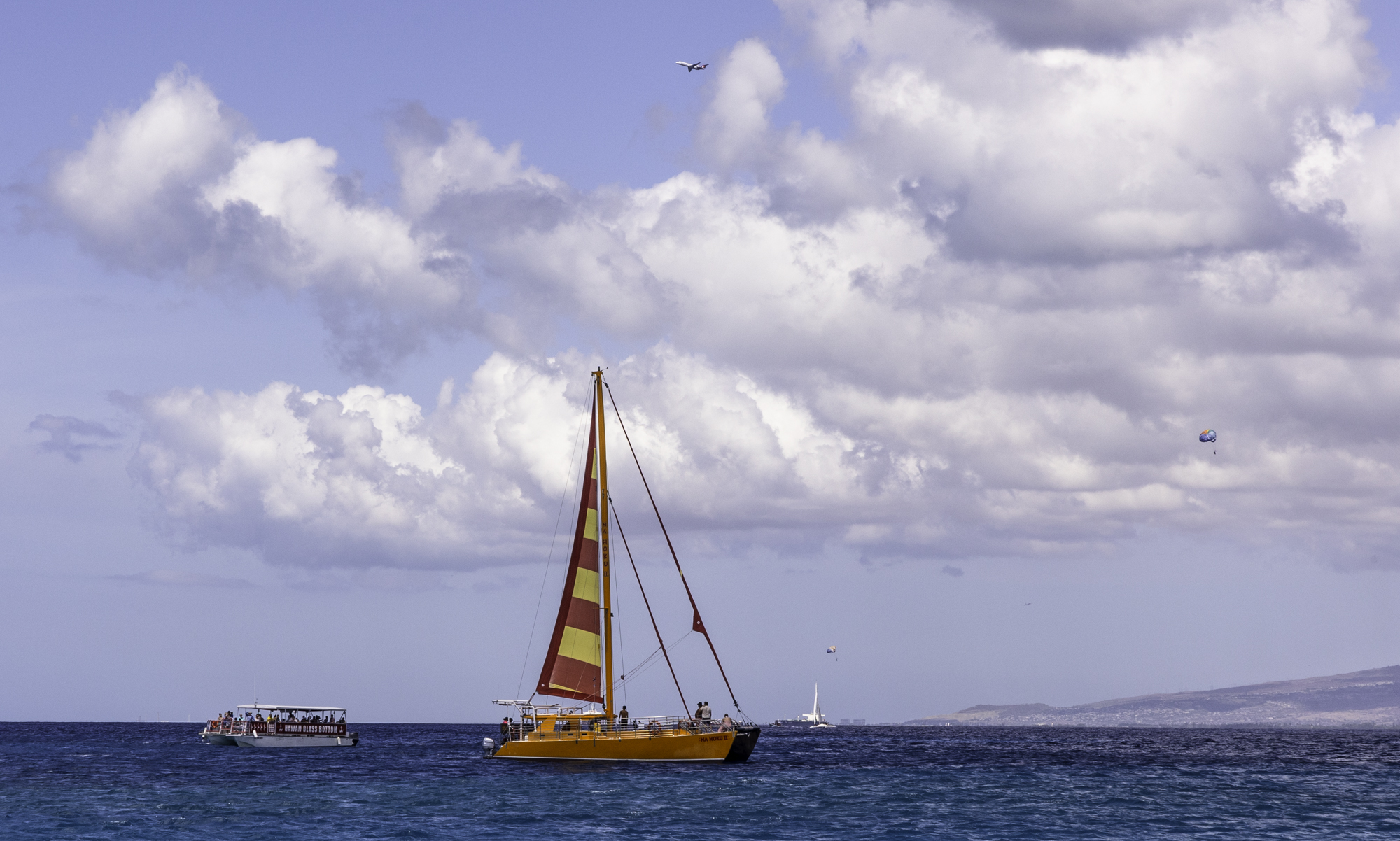 하와이 세일링요트