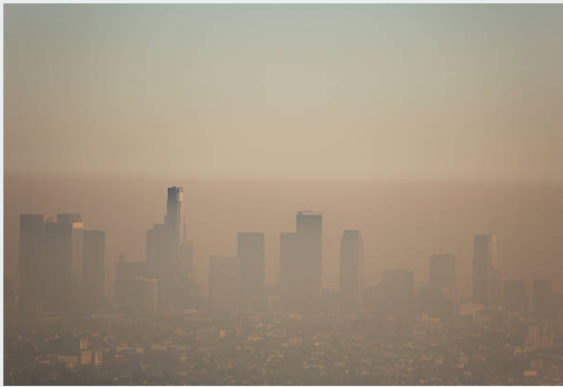 미세먼지와 건강 : 폐를 보호하는 방법
