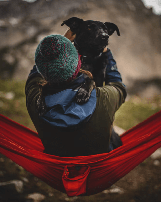 반려동물과 함께 떠나기 좋은 여행지 추천 Top 5