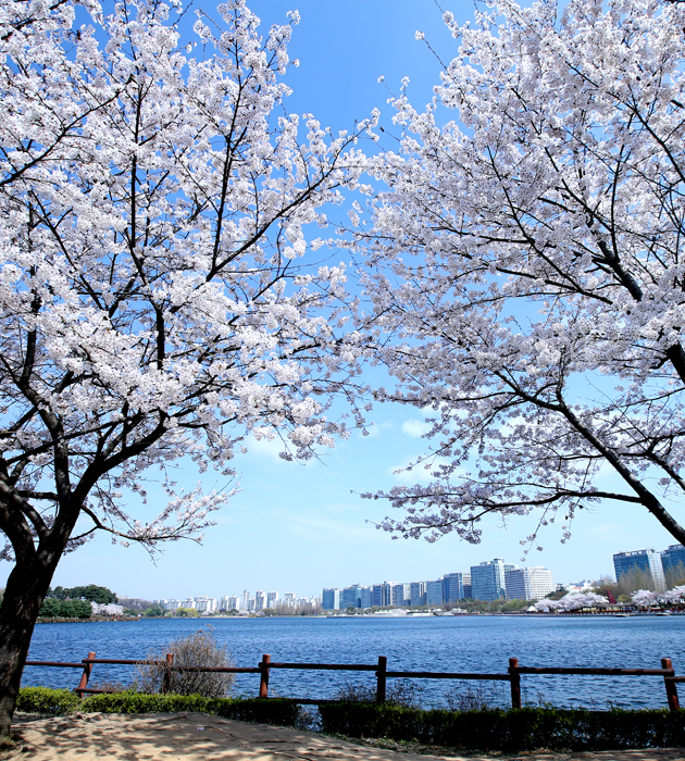 행주가 예술이야 축제 행주산성의 밤은 예술이다 총정리