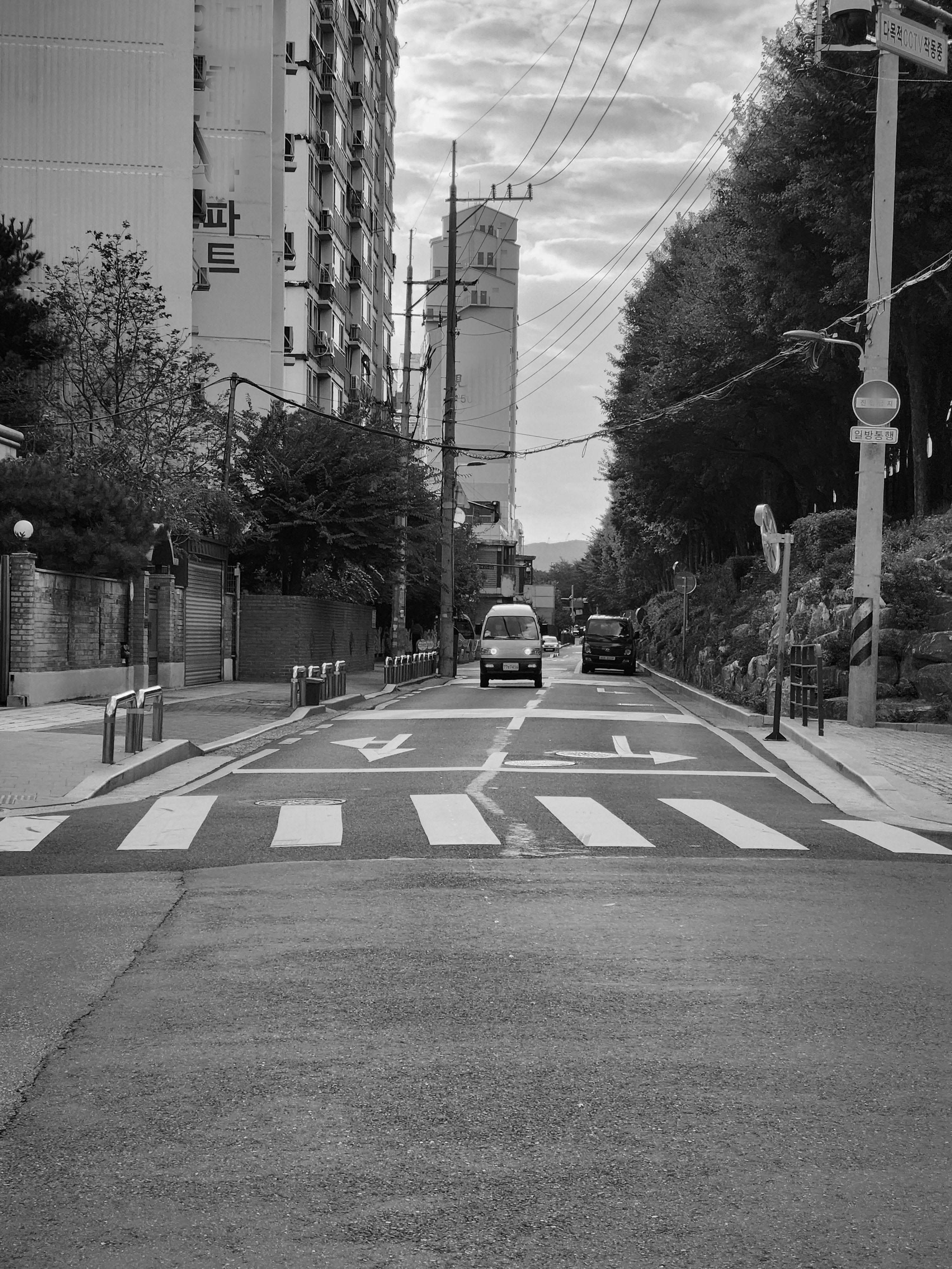 Alt 속성 문제 해결 설명 이미지