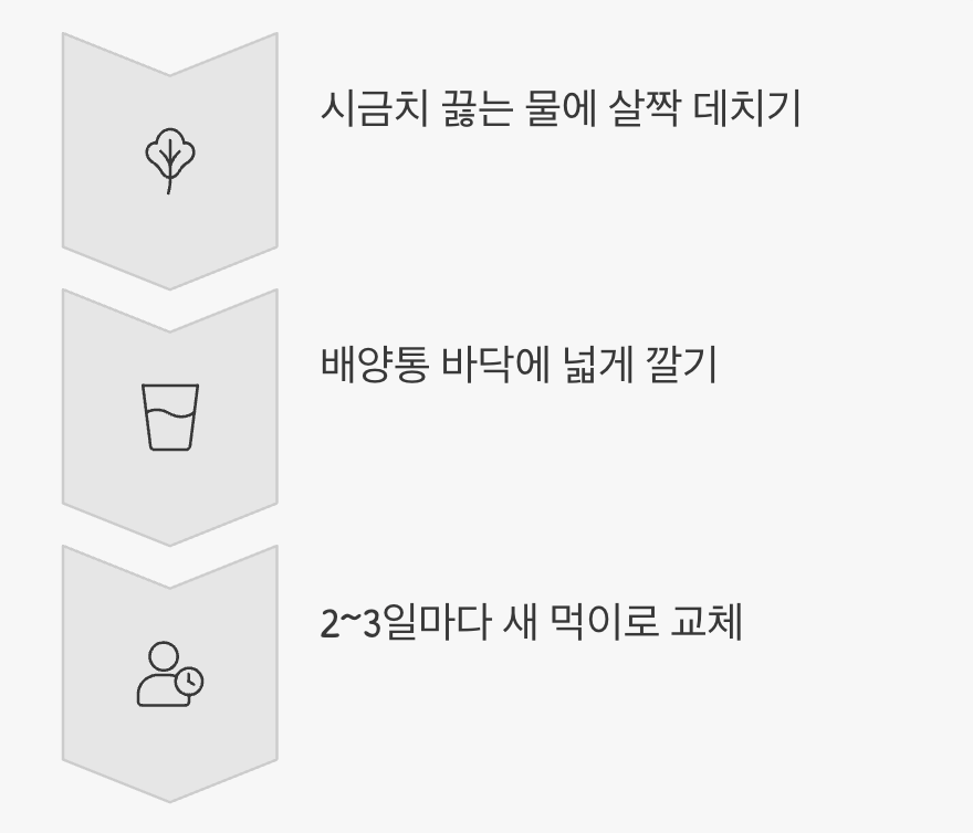 최고의 먹이, '시금치'와 '뽕잎'의 마법