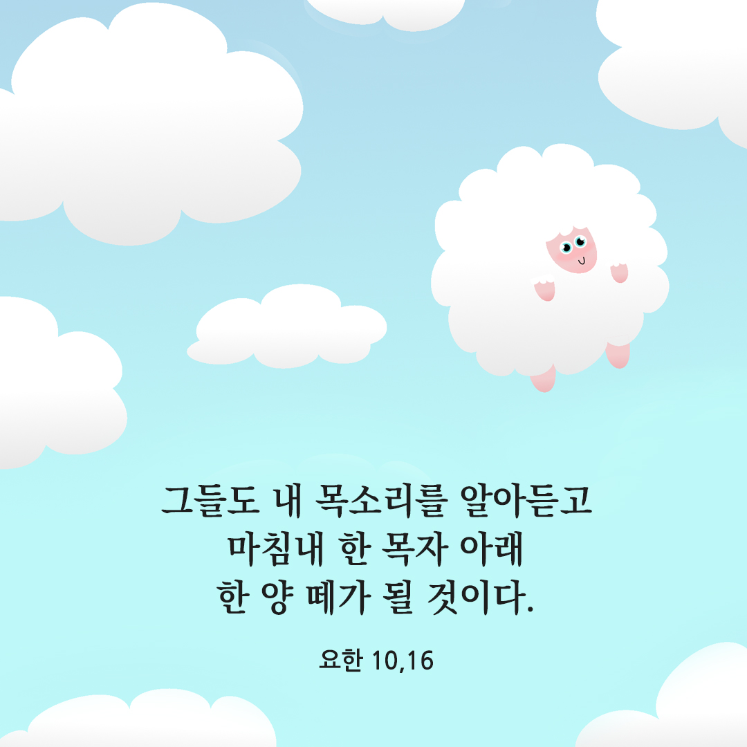 그들도 내 목소리를 알아듣고 마침내 한 목자 아래 한 양 떼가 될 것이다. (요한 10,16) 요한복음 성경 말씀 카드 이미지