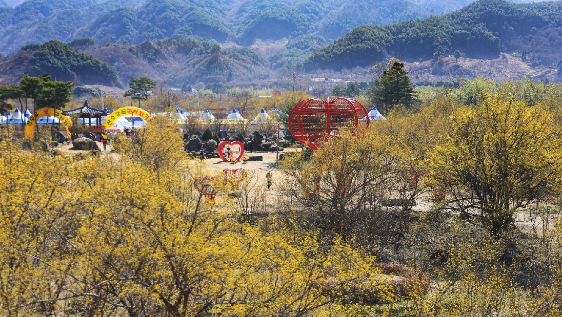 구례 산수유꽃축제 일정
