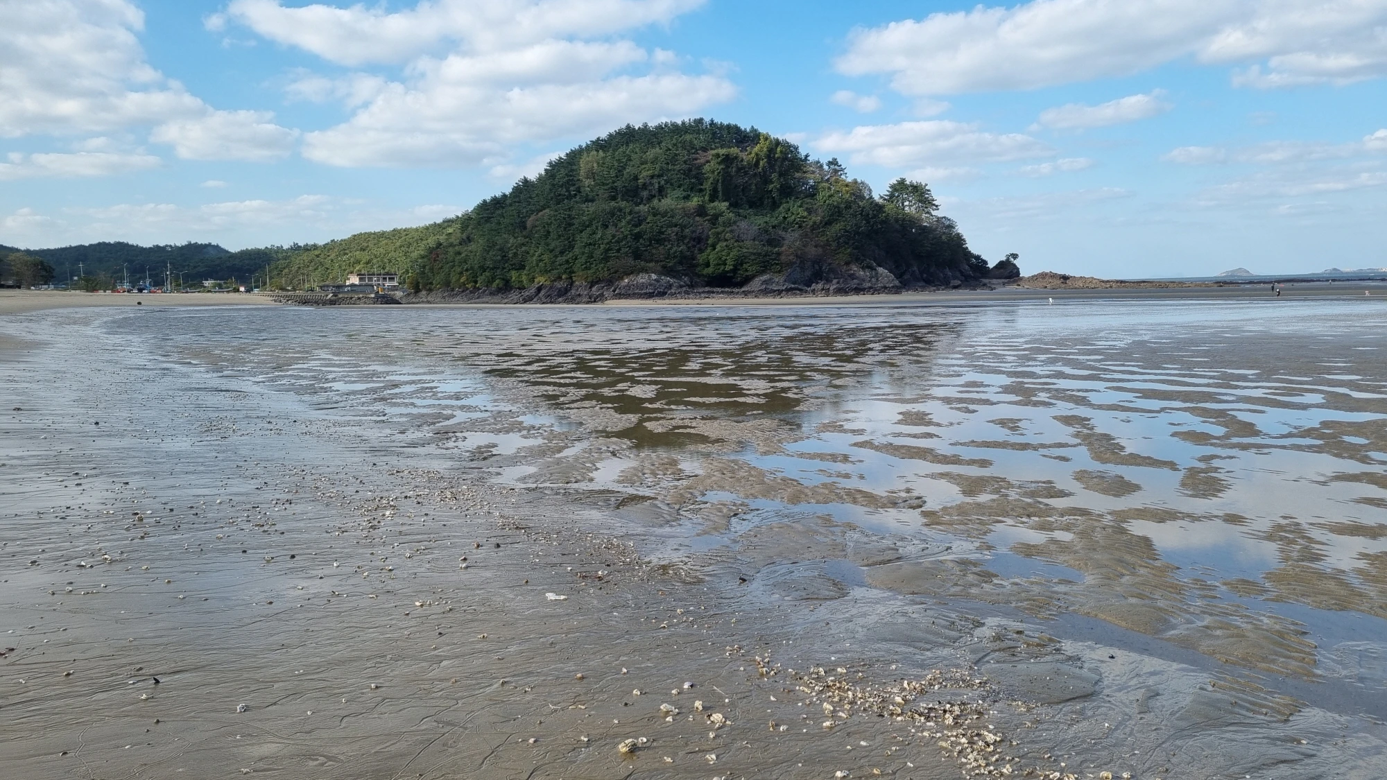 변산해수욕장 맛조개 잡는 곳