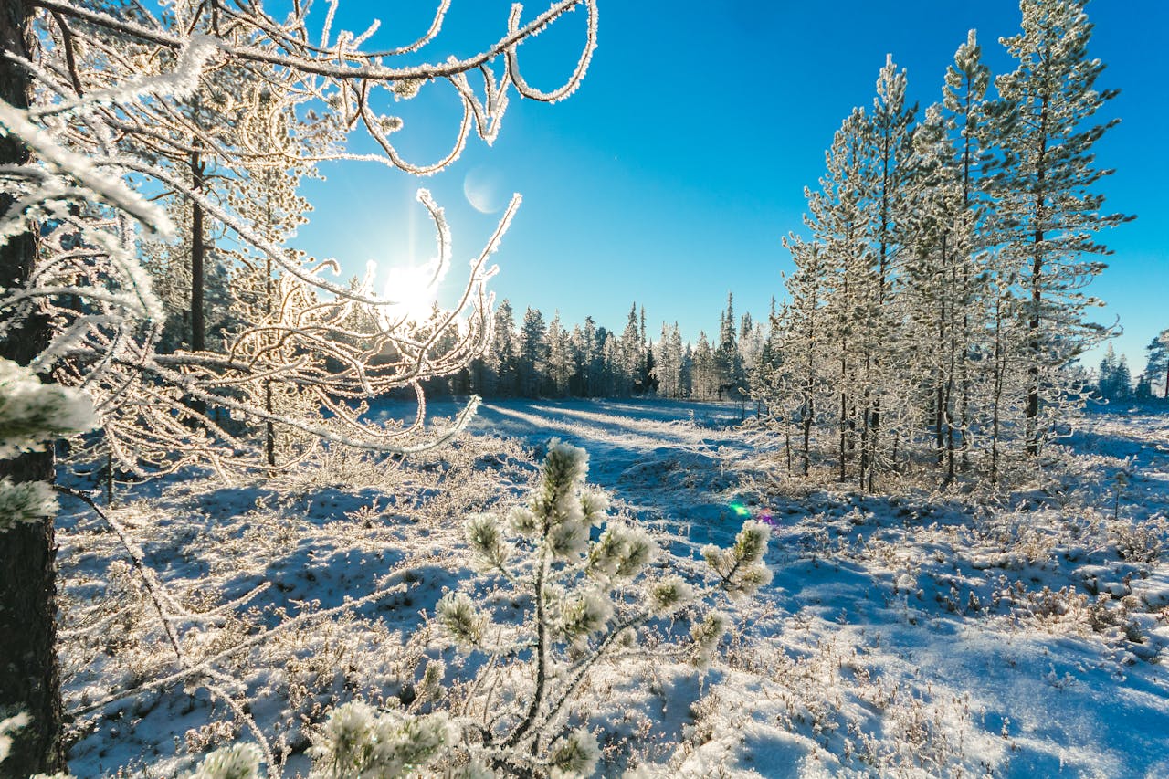 비타민D 부족이 늘어나는 이유