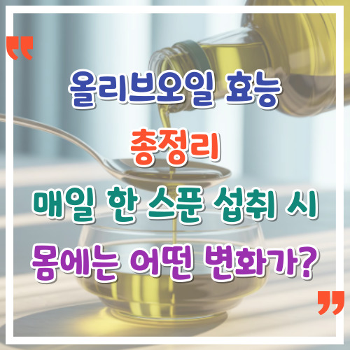 올리브오일-효능-총정리-매일-한-스푼-섭취-시-몸에는-어떤-변화가