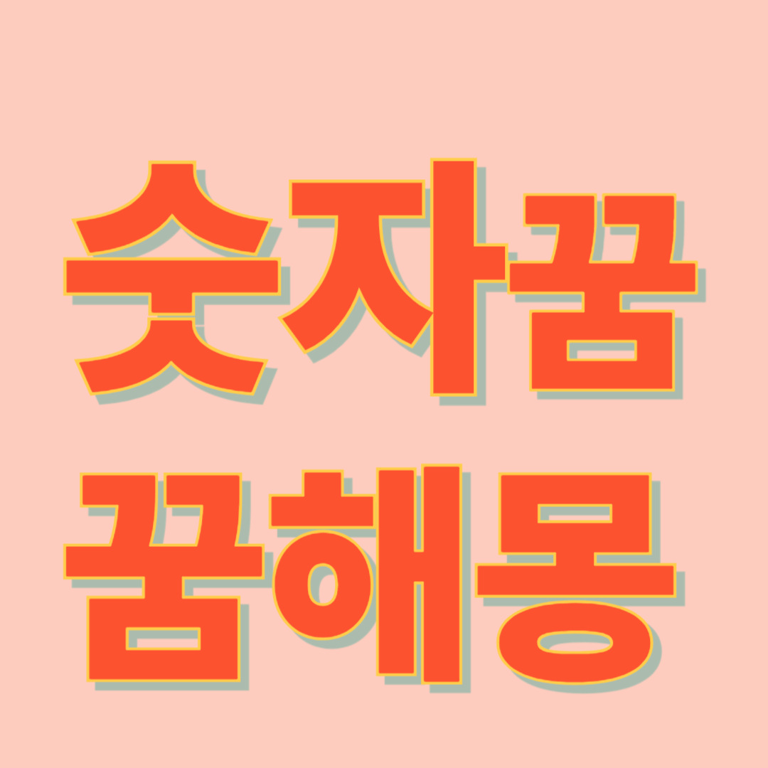 숫자 꿈 해몽