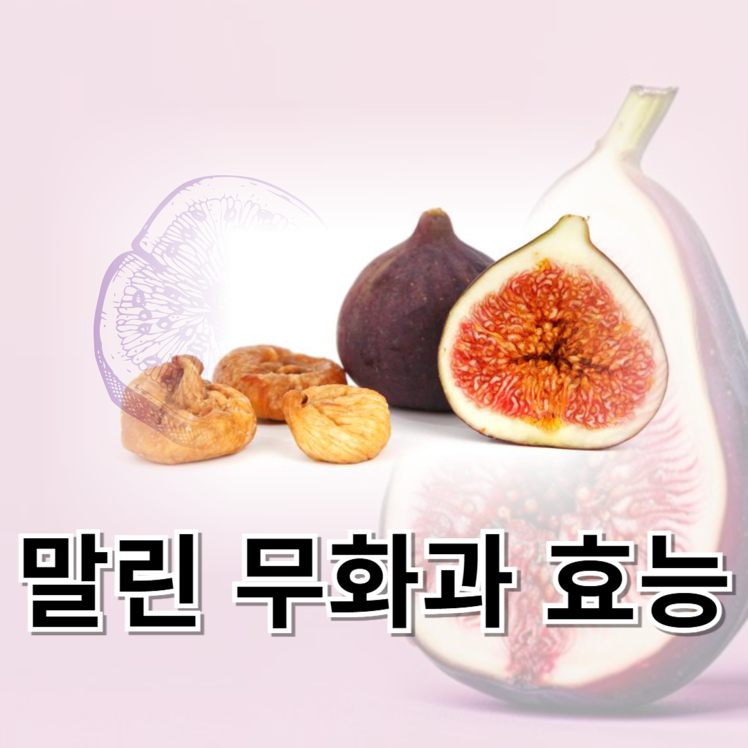 무화과와 관련된 사진입니다.