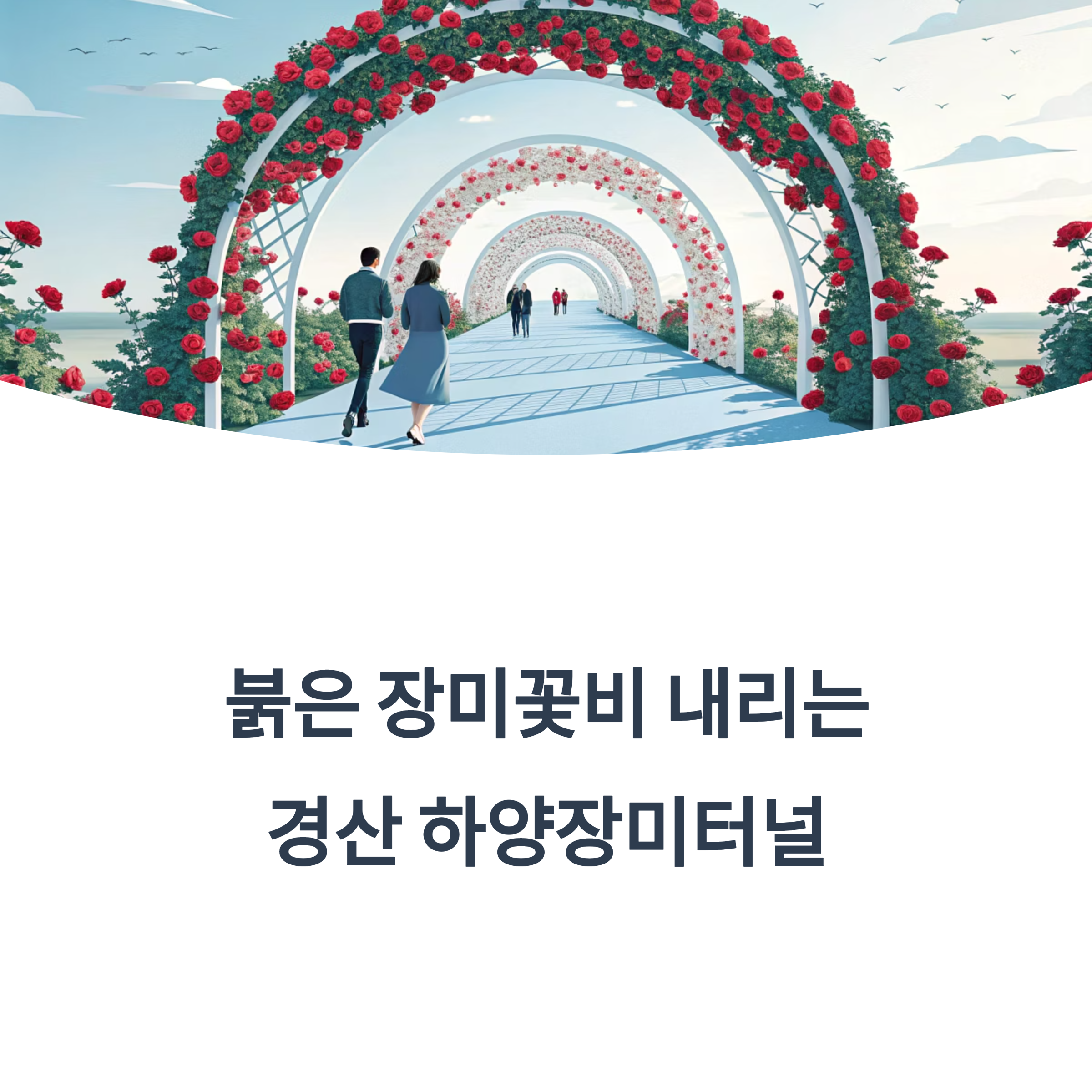 경산 하양장미터널 교통편, 주차정보 가이드