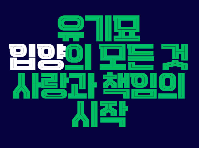 유기묘_입양