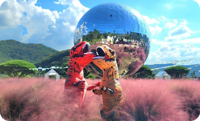 고창 핑크뮬리 축제 이미지/ 출처: 꽃객프로젝트