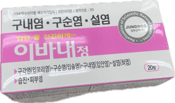 이바내정