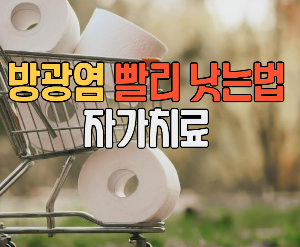 방광염 빨리 낫는 법