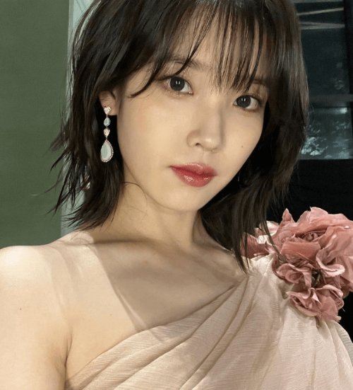 아이유 법적 대응