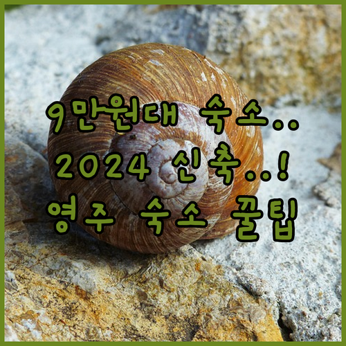 2024년 신축부터 9만 원대까지 영..