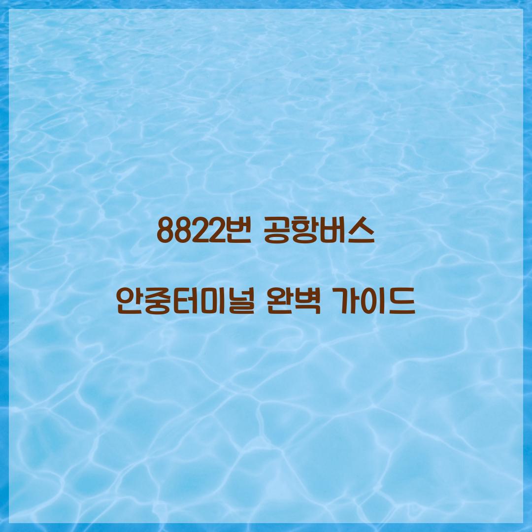 8822번 공항버스 안중터미널