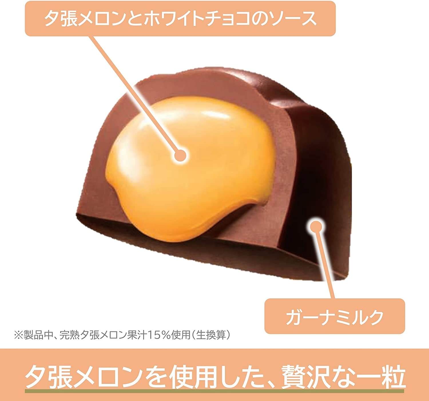 돈키호테 쇼핑 Best 9