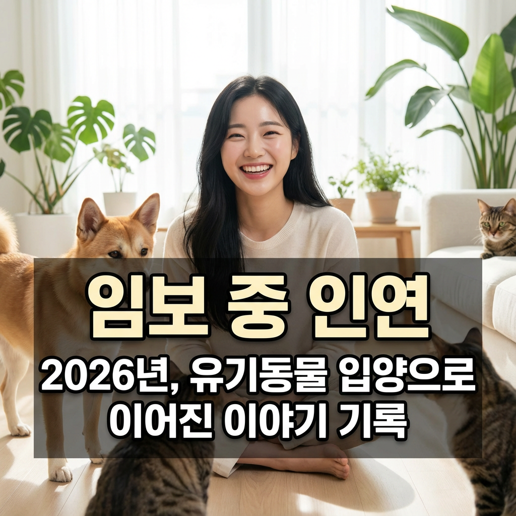 임보 중 인연 2026년 ｜ 유기동물 입양으로 이어진 이야기 기록