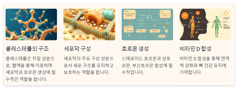 총콜레스테롤 이란?