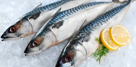 신장에 좋은 음식-등푸른생선