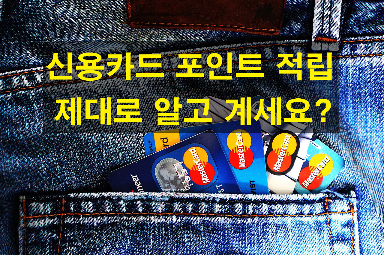 신용카드 포인트 적립과 추천 신용카드