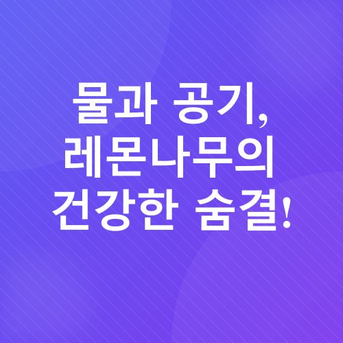 레몬나무 키우기_2