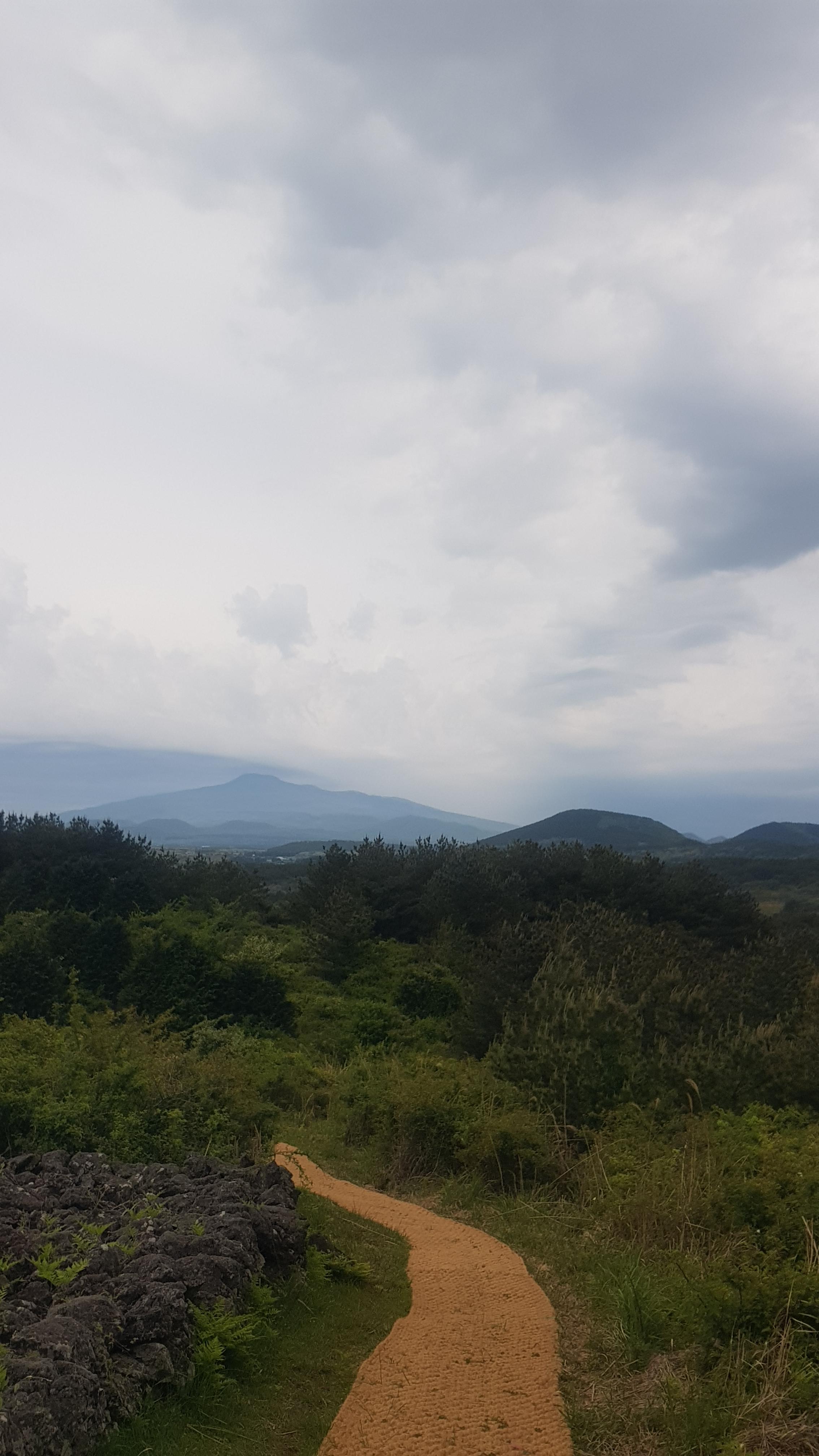 제주도 거슨새미오름 – 숨겨진 자연의 보물!