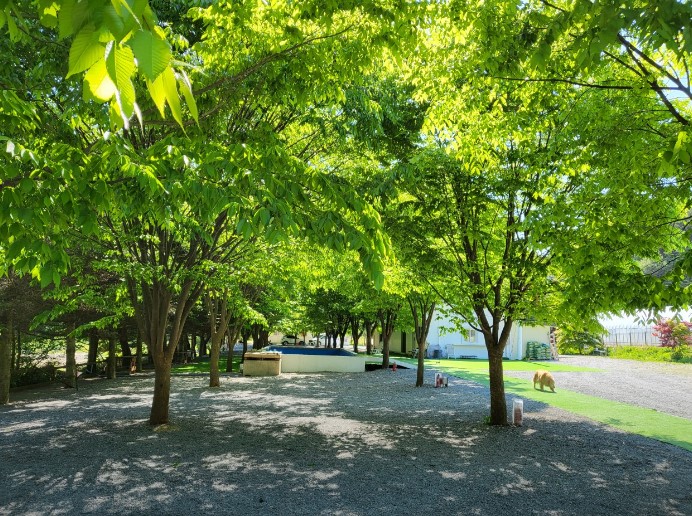 강원도-영월-케로아인캠프