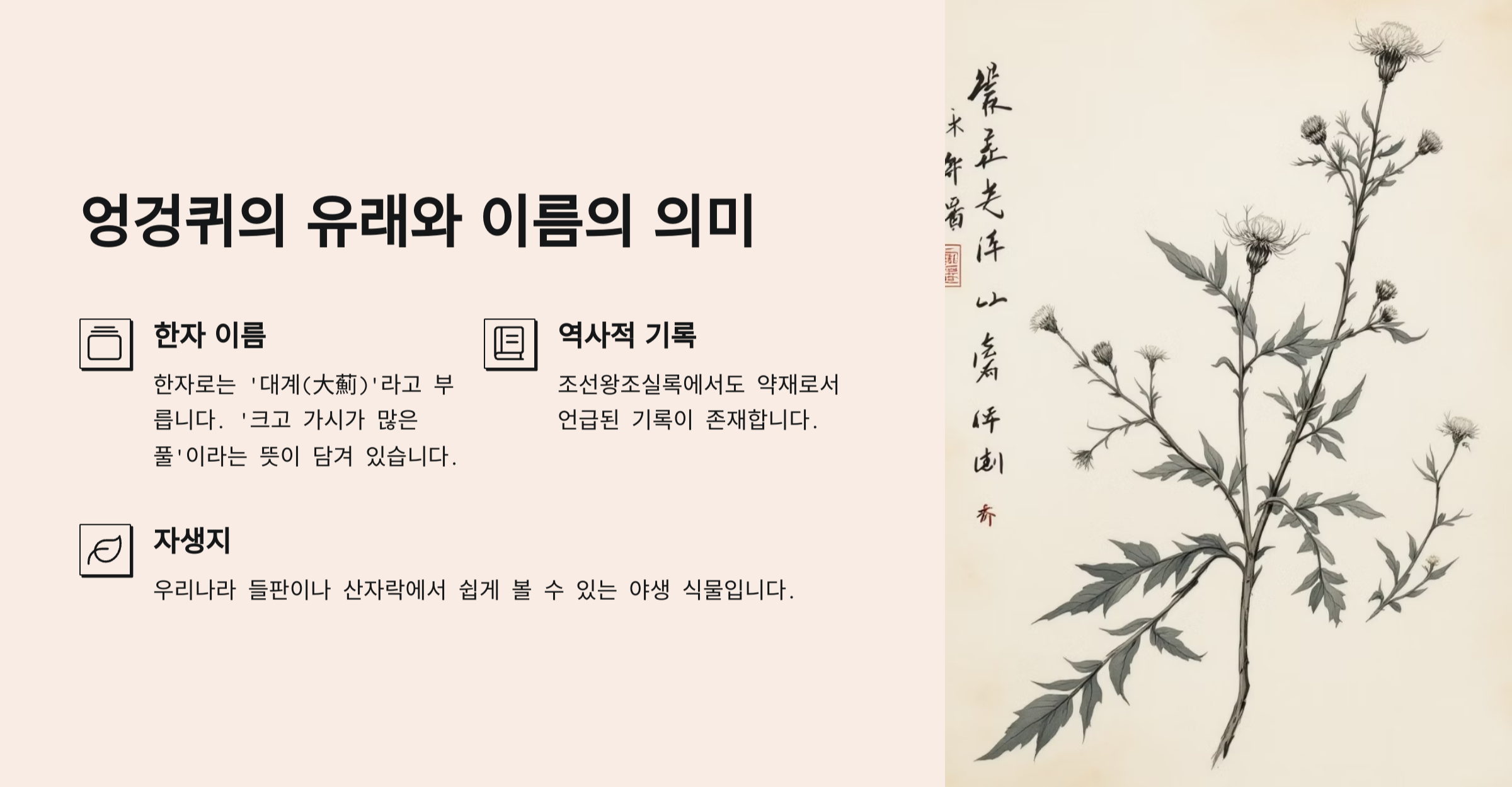 엉겅퀴