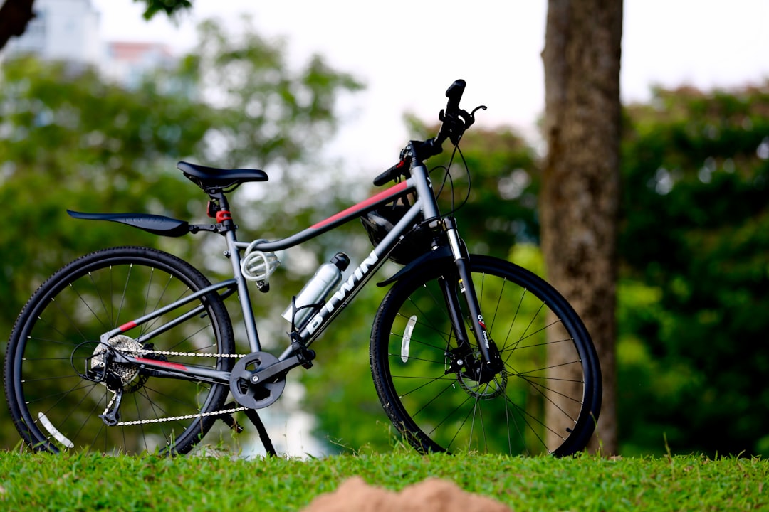 Cycle