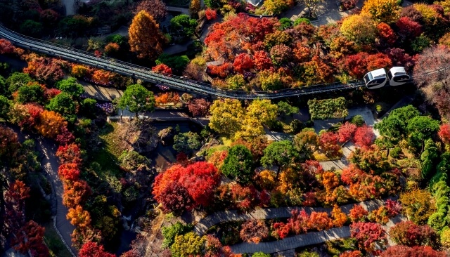 화담숲 정경 사진