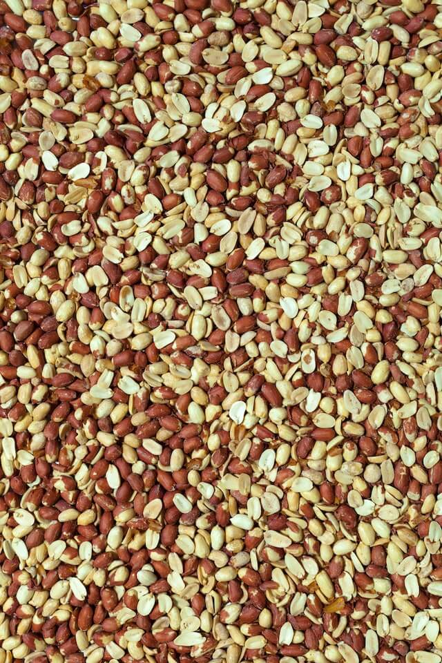 성기능에-좋은-음식-견과류