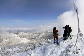 환호작약 뜻 유래 의미 기쁨 고사성어_27