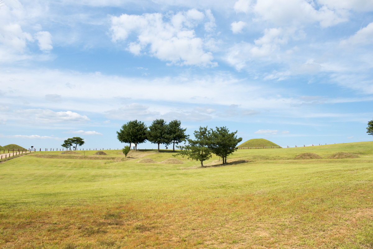 의성 금성산 고분군