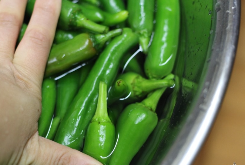 고추장아찌 만드는법 : 고추를 소주에 절인 모습