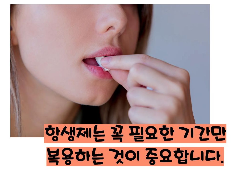 항생제 부작용