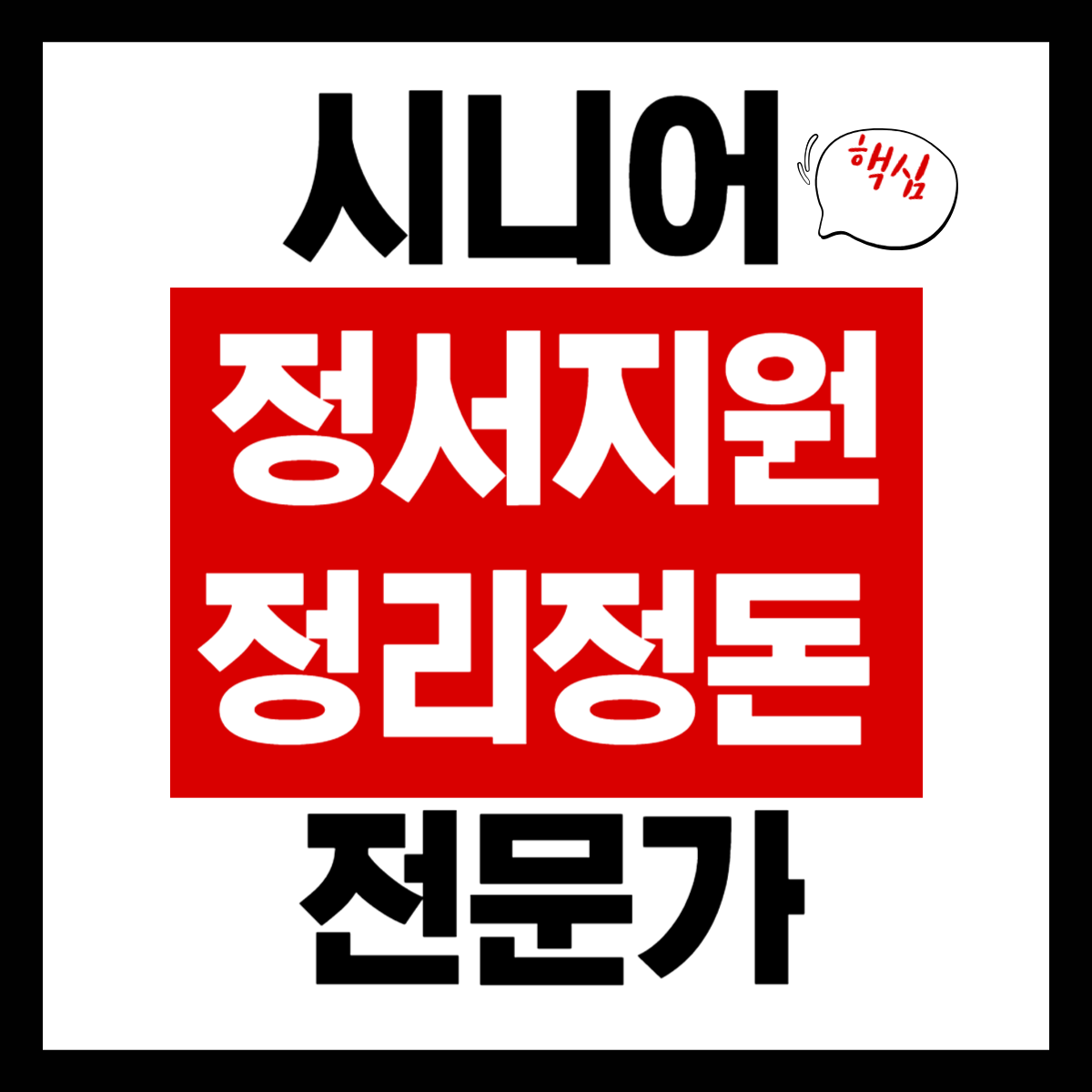 시니어 정서지원&middot;정리정돈 전문가