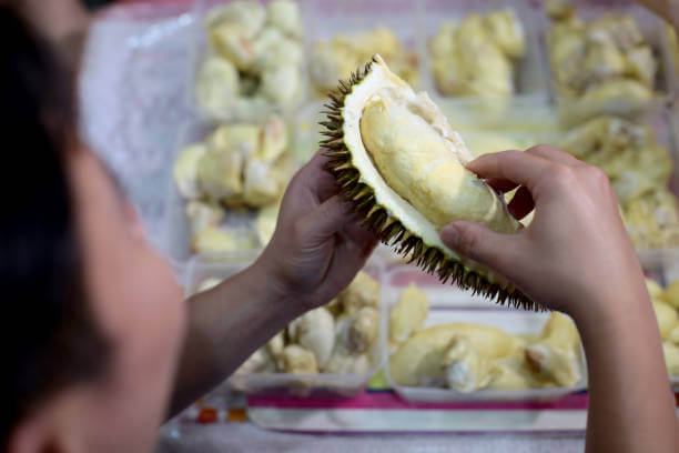 두리안 효능&amp;#44; 냄새 이유는 무엇일까요? 두리안은 직접 먹으면 매우 맛있지만 냄새는 상상 그 이상으로 지독하다고 알려져 있습니다. 냄새 이유와 두리안 칼로리 등 두리안에 대해 알아봤습니다. 참고하세요~