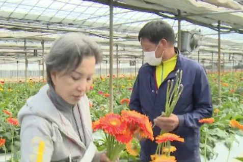 서권순 남편 아들