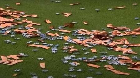 유럽 환경운동 에코테러