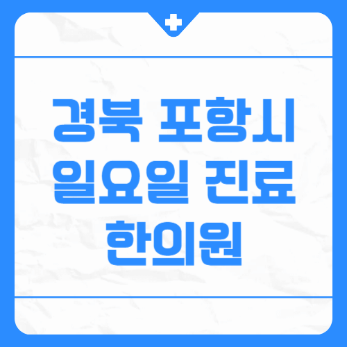 경북 포항시 일요일 진료 한의원