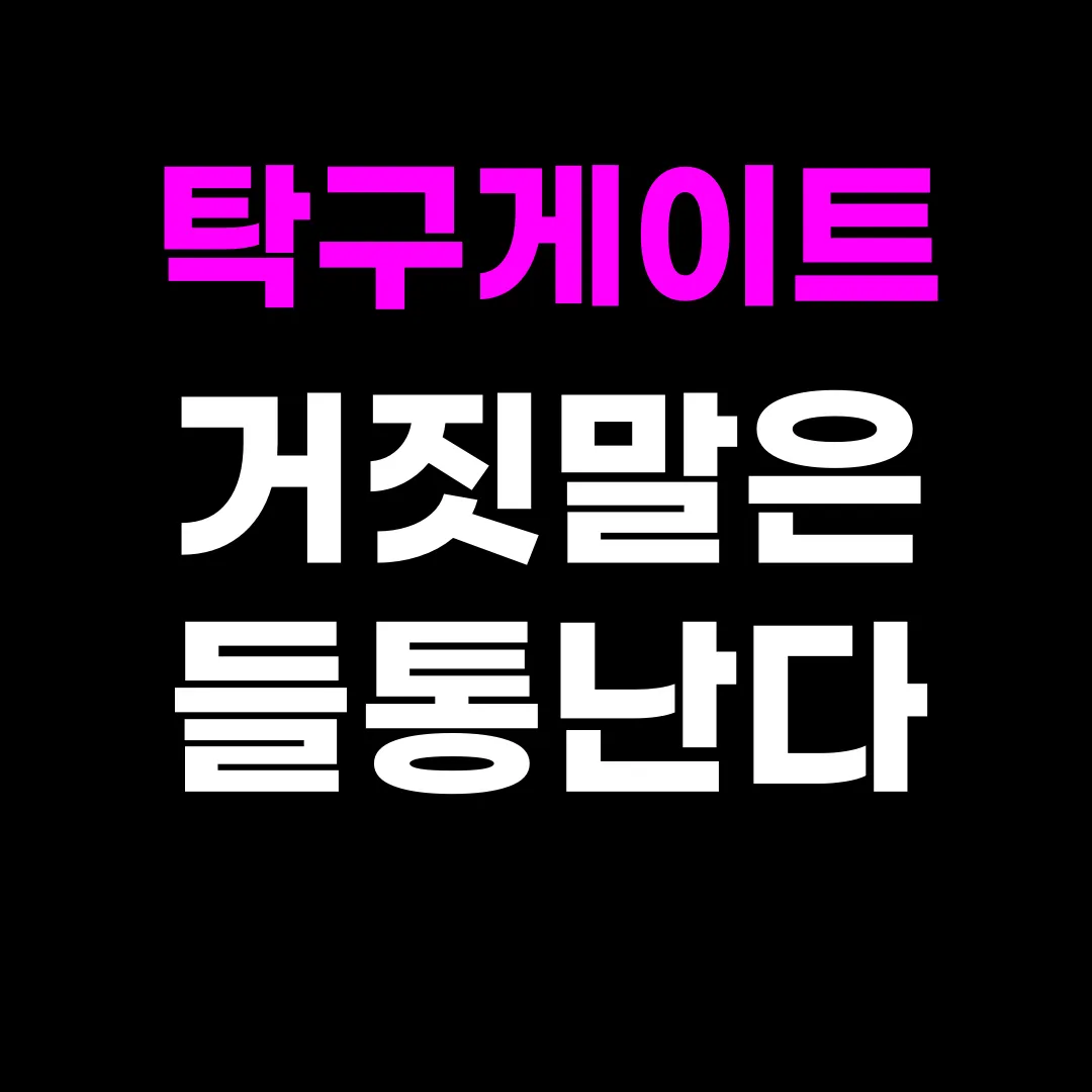 탁구게이트 진실공방