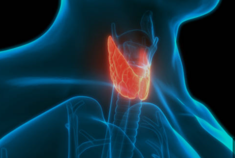 갑상선암과 관련된 사진2