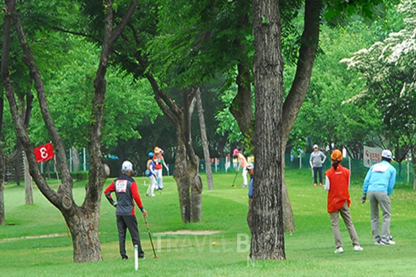 서울 송파구 잠실종합운동장 파크골프장 소개 (잠실파크골프장)
